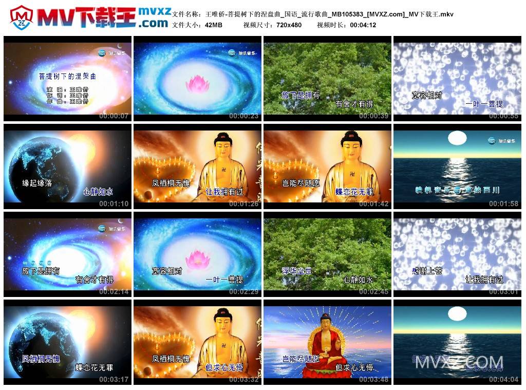王唯侨-菩提树下的涅盘曲_国语_流行歌曲_MB105383